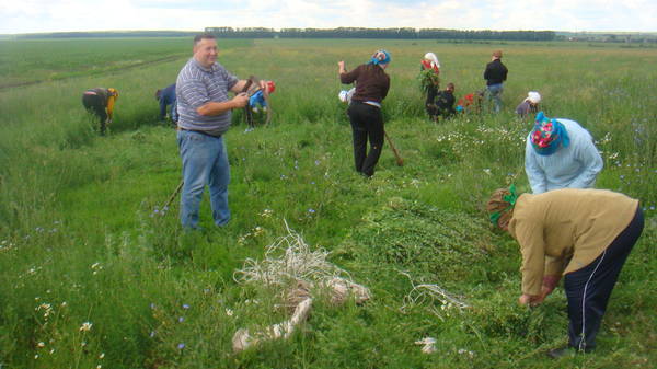 Деревня евлево татарстан. Тукаевский р он. Открытие памятника. Недвижимость бурдыбаш. Деревня евлево татарстан.
